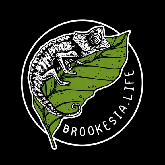 brookesialife